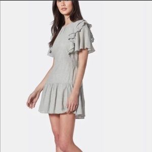 Brand new, never worn with tags Joie dress